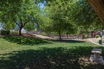 A park with a bench and trees.